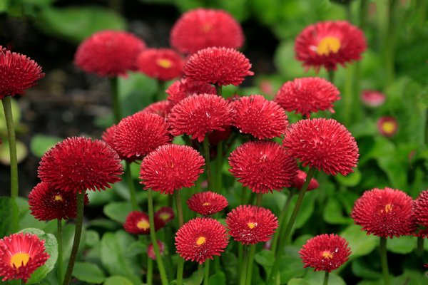 Boostez la Valeur de Votre Maison de Ville pour Une Vente Triomphante